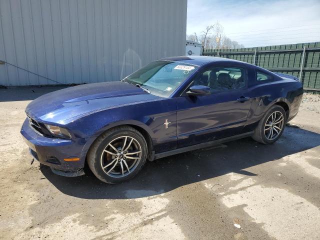 FORD MUSTANG 2010 1zvbp8an0a5121142