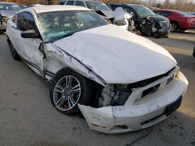 FORD MUSTANG 2010 1zvbp8an0a5127524