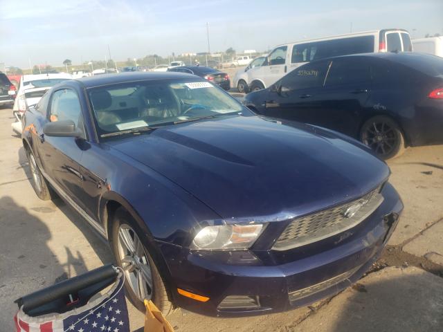 FORD MUSTANG 2010 1zvbp8an0a5128107