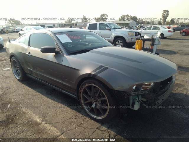 FORD MUSTANG 2010 1zvbp8an0a5137230