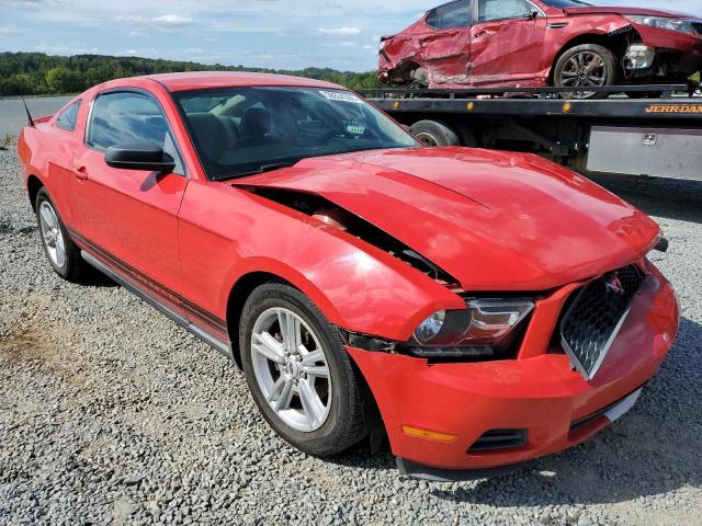 FORD MUSTANG 2010 1zvbp8an0a5137812