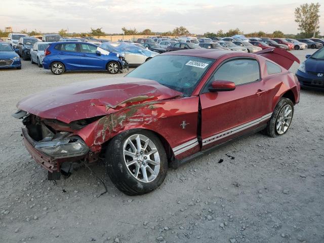 FORD MUSTANG 2010 1zvbp8an0a5138006