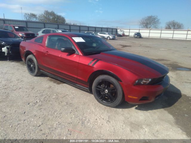 FORD MUSTANG 2010 1zvbp8an0a5138524