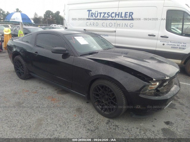 FORD MUSTANG 2010 1zvbp8an0a5140709