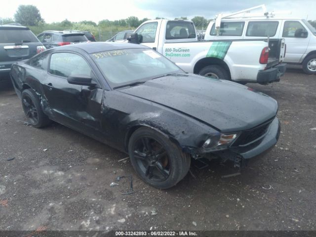 FORD MUSTANG 2010 1zvbp8an0a5141388