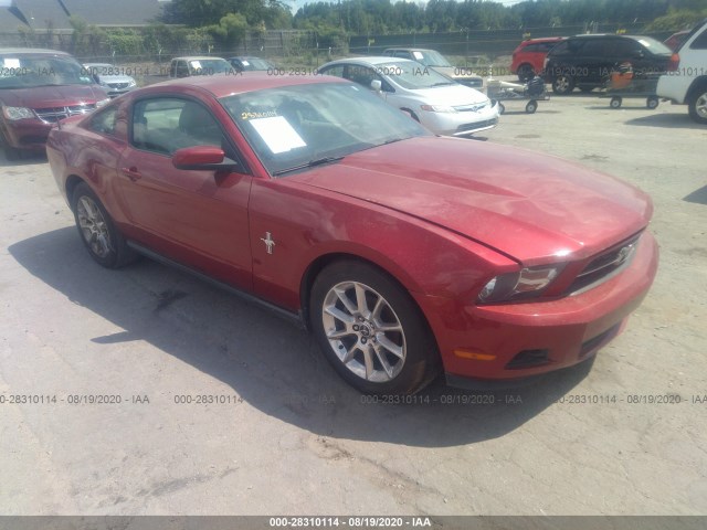 FORD MUSTANG 2010 1zvbp8an0a5156103