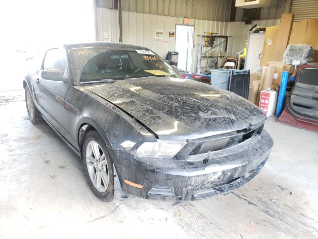 FORD MUSTANG 2010 1zvbp8an0a5157865