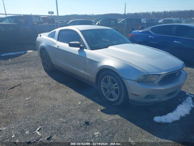 FORD MUSTANG 2010 1zvbp8an0a5159549