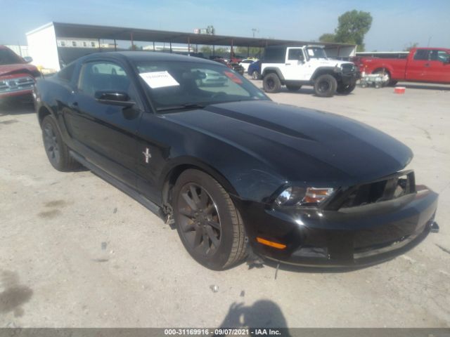 FORD MUSTANG 2010 1zvbp8an0a5161690