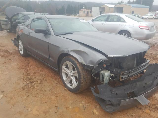 FORD MUSTANG 2010 1zvbp8an0a5164136