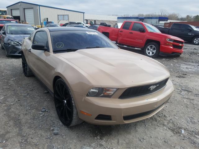 FORD MUSTANG 2010 1zvbp8an0a5164850