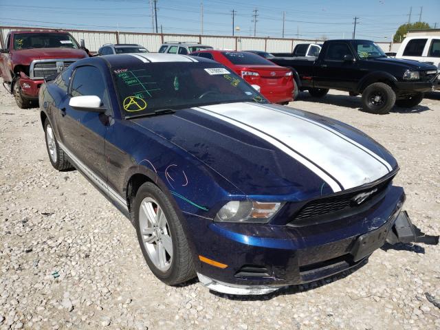 FORD MUSTANG 2010 1zvbp8an0a5165206