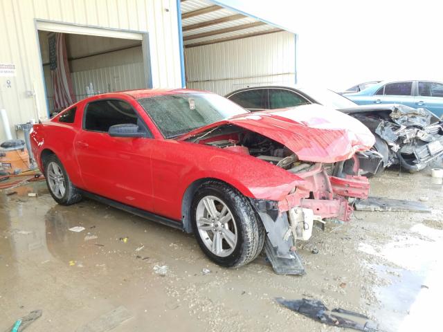 FORD MUSTANG 2010 1zvbp8an0a5168462