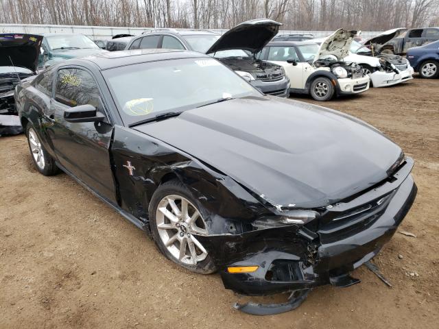 FORD MUSTANG 2010 1zvbp8an0a5176514