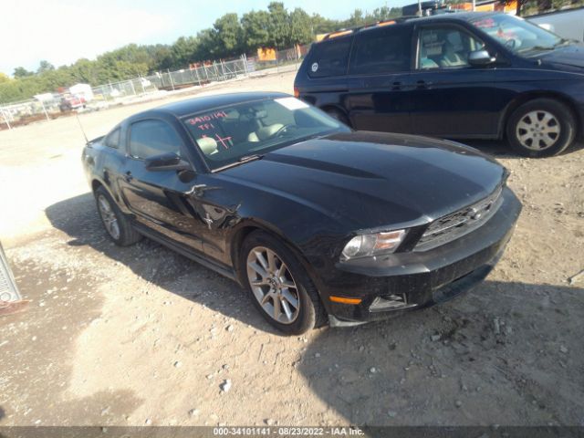 FORD MUSTANG 2010 1zvbp8an0a5176707