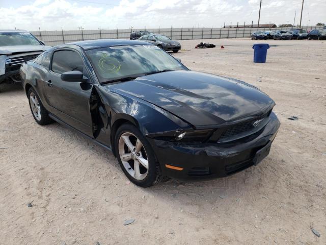 FORD MUSTANG 2010 1zvbp8an0a5177582