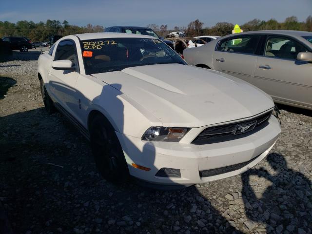 FORD MUSTANG 2010 1zvbp8an0a5179820