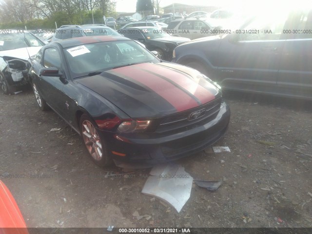 FORD MUSTANG 2010 1zvbp8an1a5101627