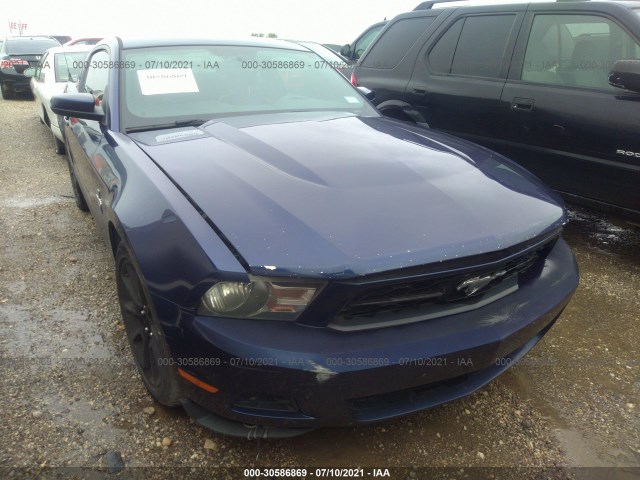 FORD MUSTANG 2010 1zvbp8an1a5105340