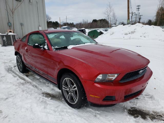 FORD MUSTANG 2010 1zvbp8an1a5108240