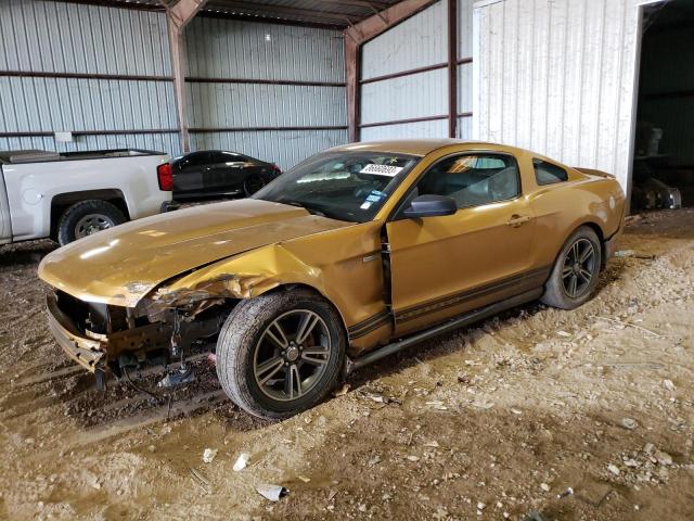 FORD MUSTANG 2010 1zvbp8an1a5108903