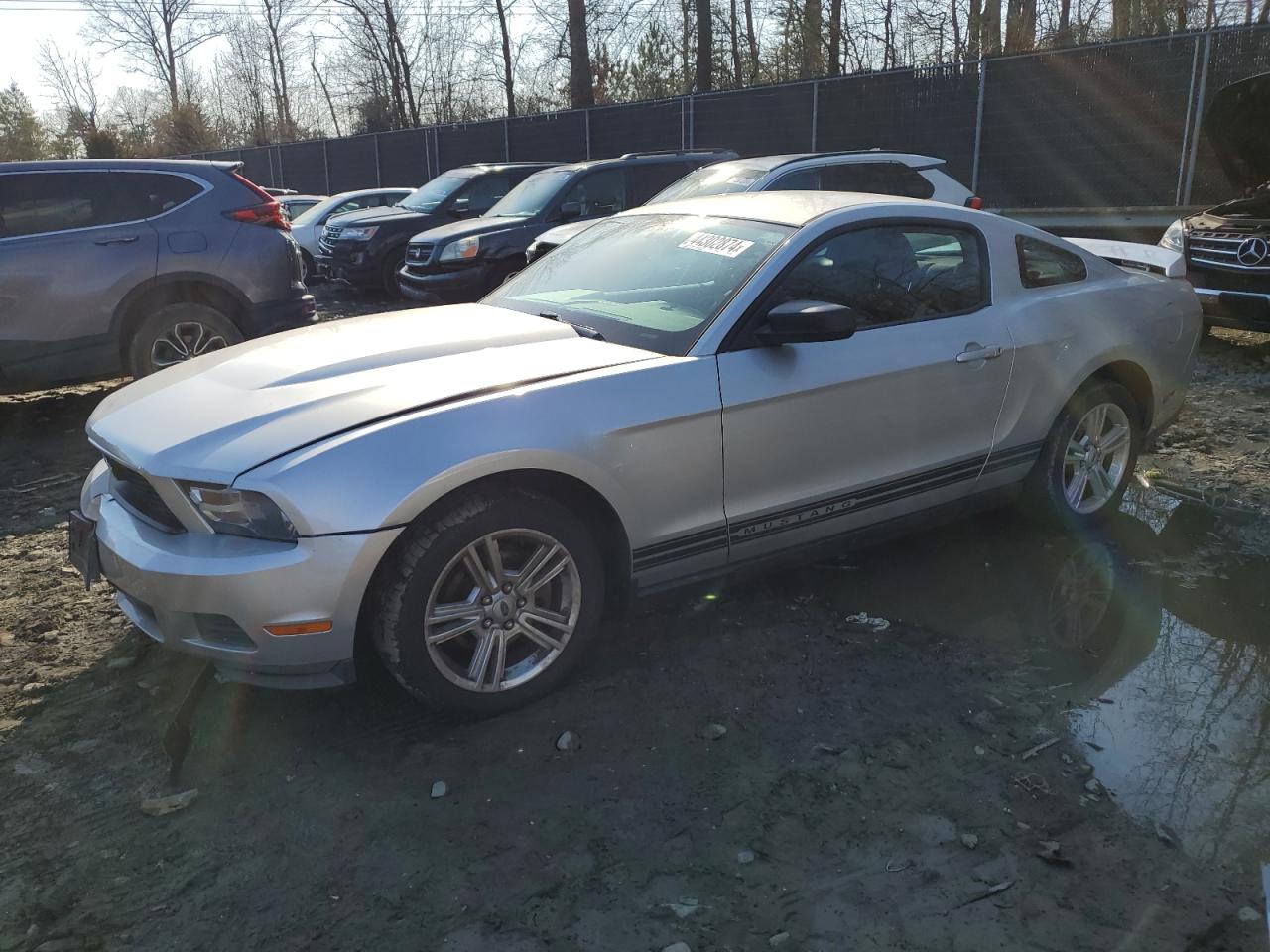 FORD MUSTANG 2010 1zvbp8an1a5117553