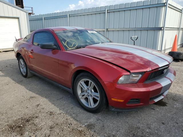 FORD MUSTANG 2010 1zvbp8an1a5121053