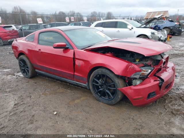 FORD MUSTANG 2010 1zvbp8an1a5123465