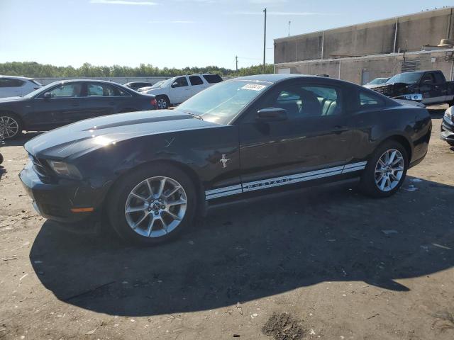 FORD MUSTANG 2010 1zvbp8an1a5123921