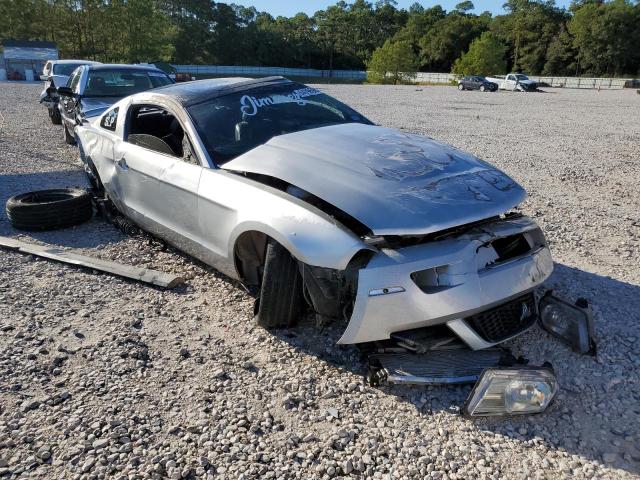 FORD MUSTANG 2010 1zvbp8an1a5124860