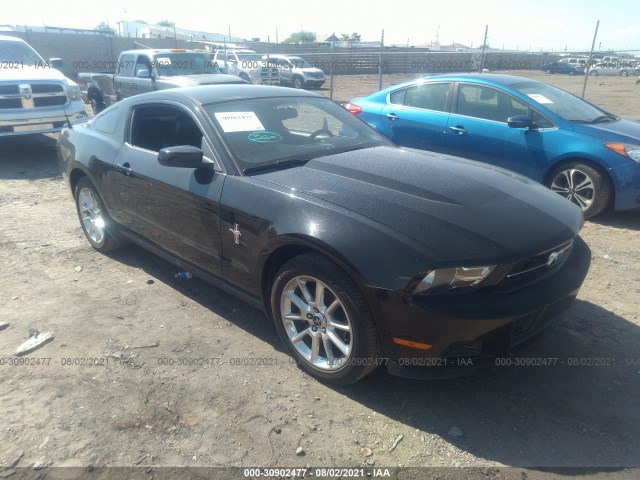 FORD MUSTANG 2010 1zvbp8an1a5125409