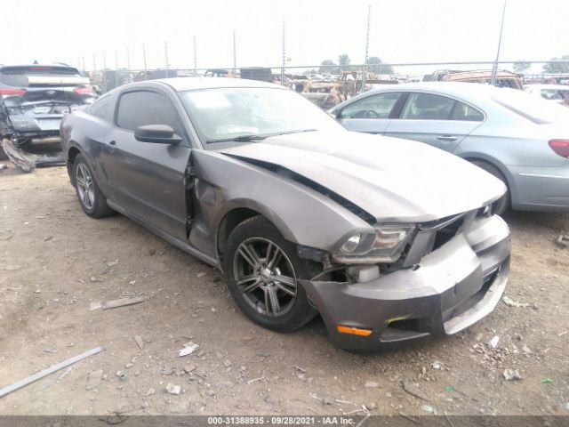 FORD MUSTANG 2010 1zvbp8an1a5127936