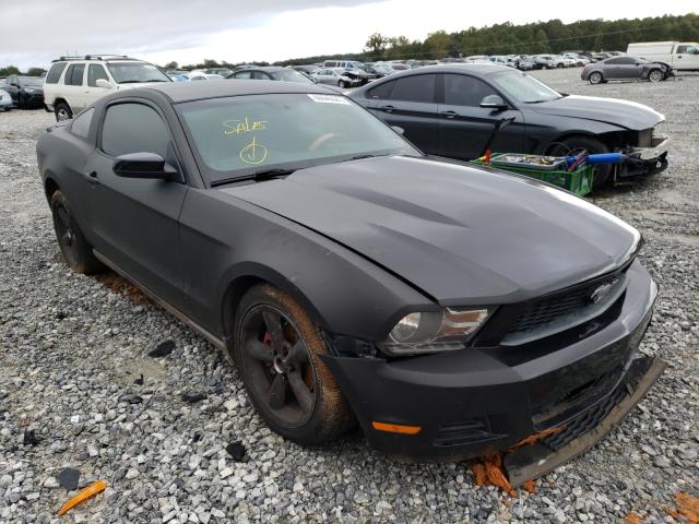 FORD MUSTANG 2010 1zvbp8an1a5128181