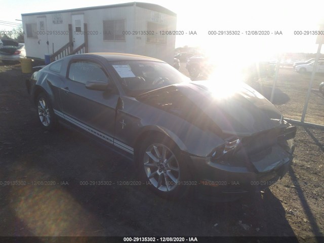 FORD MUSTANG 2010 1zvbp8an1a5129055