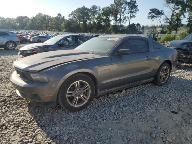 FORD MUSTANG 2010 1zvbp8an1a5129363