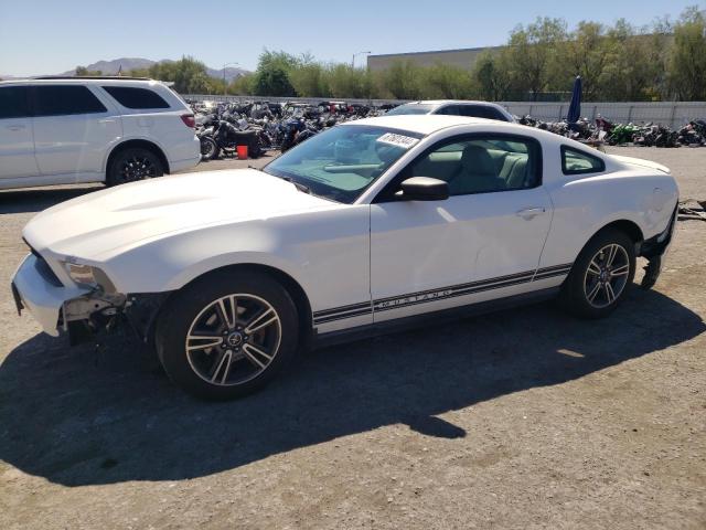 FORD MUSTANG 2010 1zvbp8an1a5130738