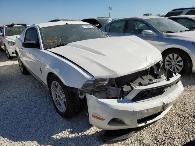 FORD MUSTANG 2010 1zvbp8an1a5131078