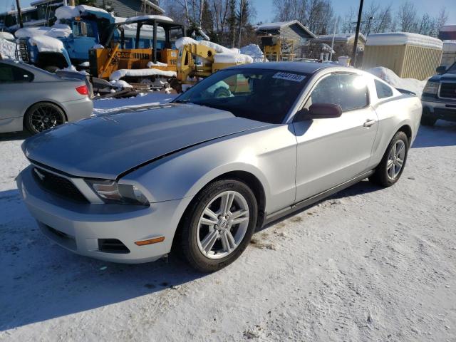 FORD MUSTANG 2010 1zvbp8an1a5131341