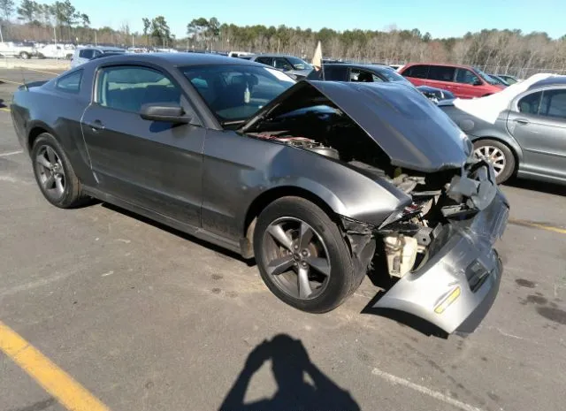 FORD MUSTANG 2010 1zvbp8an1a5133266