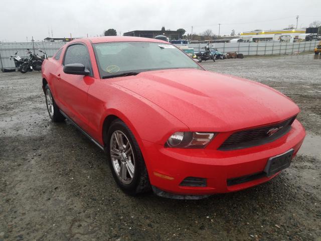 FORD MUSTANG 2010 1zvbp8an1a5134045