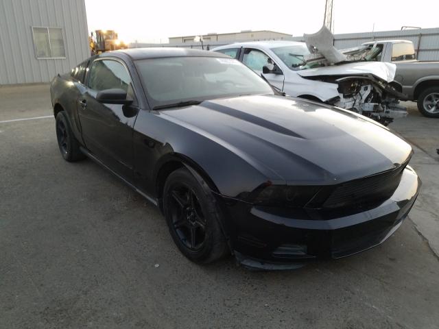 FORD MUSTANG 2010 1zvbp8an1a5134143