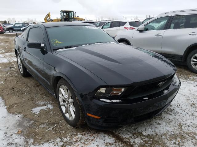 FORD MUSTANG 2010 1zvbp8an1a5134613