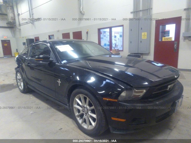 FORD MUSTANG 2010 1zvbp8an1a5135535