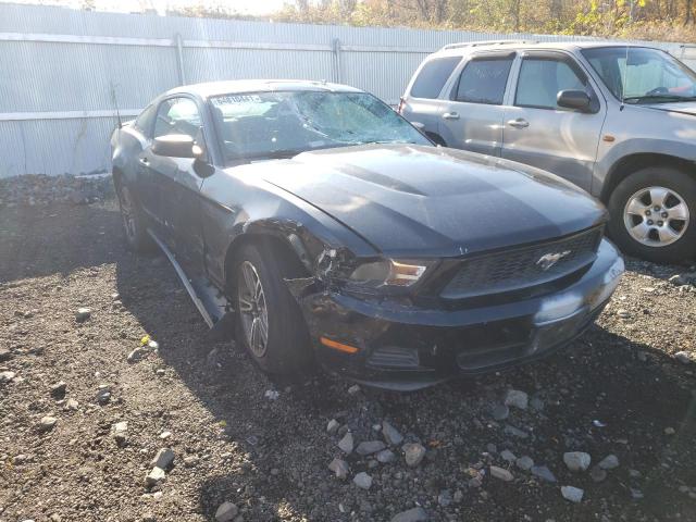 FORD MUSTANG 2010 1zvbp8an1a5137222