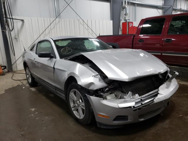 FORD MUSTANG 2010 1zvbp8an1a5138144