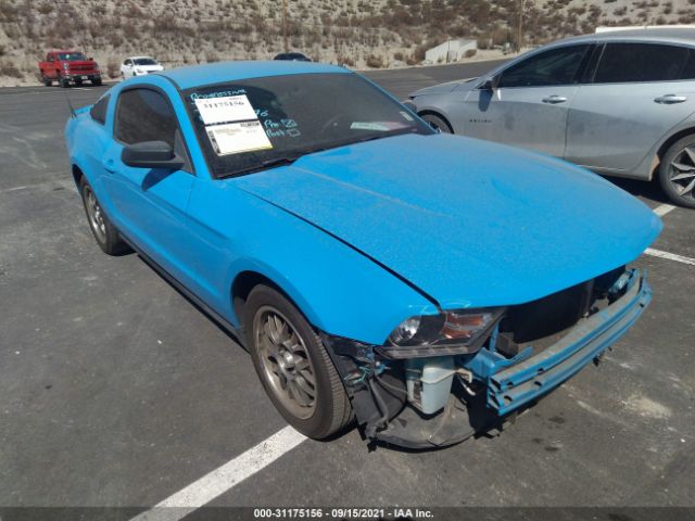 FORD MUSTANG 2010 1zvbp8an1a5138337