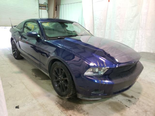 FORD MUSTANG 2010 1zvbp8an1a5140086