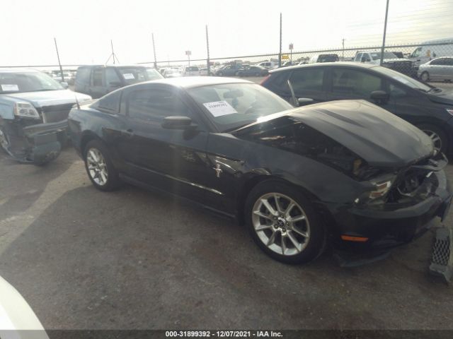 FORD MUSTANG 2010 1zvbp8an1a5140900