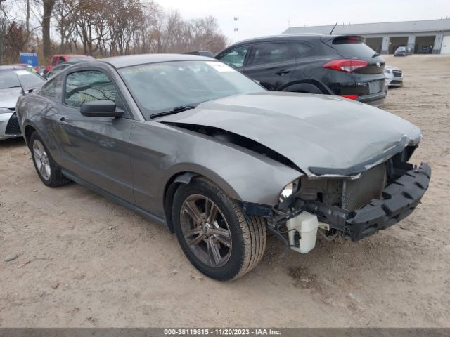 FORD MUSTANG 2010 1zvbp8an1a5141352