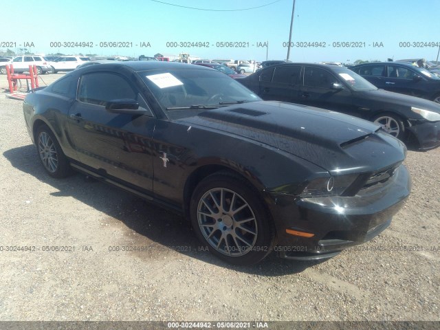 FORD MUSTANG 2010 1zvbp8an1a5143781